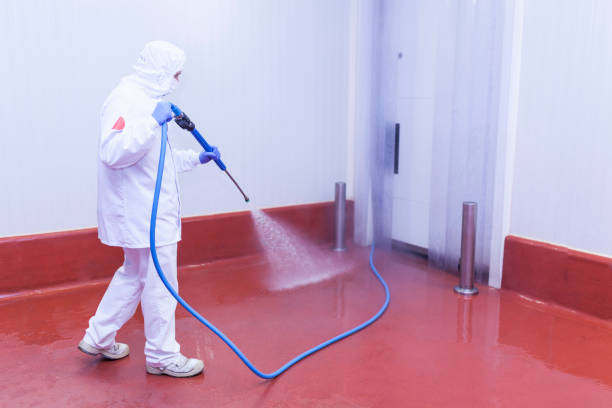 Trusted Richboro, PA Pressure Washing Services Experts